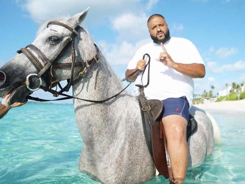 DJ Khaled Did Not Break A Horse's Back In The Bahamas | HipHopDX