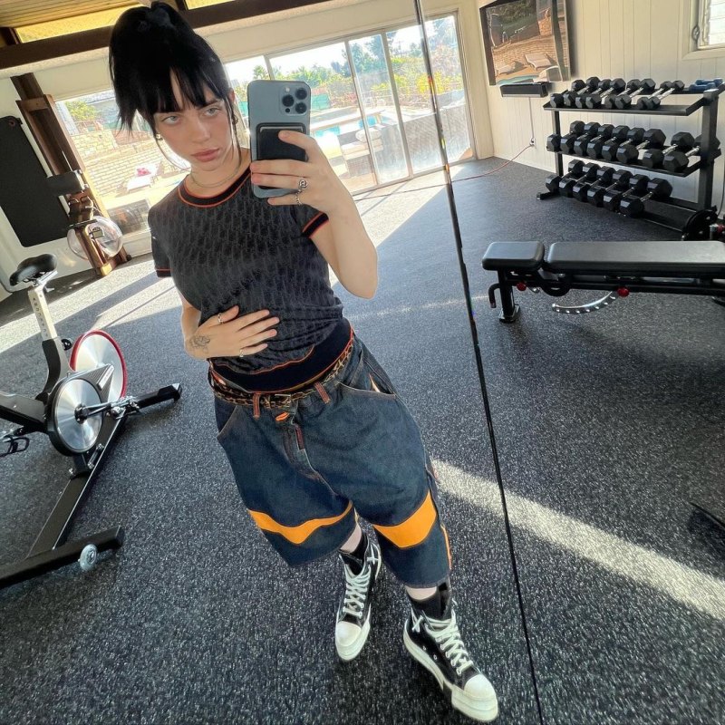 Billie Eilish’s Weight Loss Transformation [Photos]