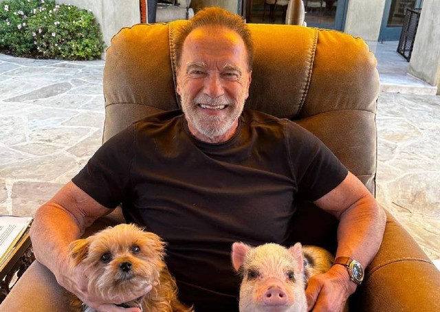 'The Terminator' Arnold Schwarzenegger feels vulnerable with his aging body at the age of 76 - Photo 7.