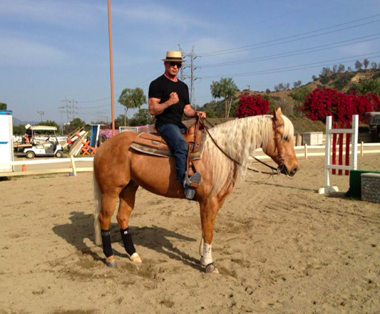 Friday Flicks: Sylvester Stallone, equestrian | HORSE NATION