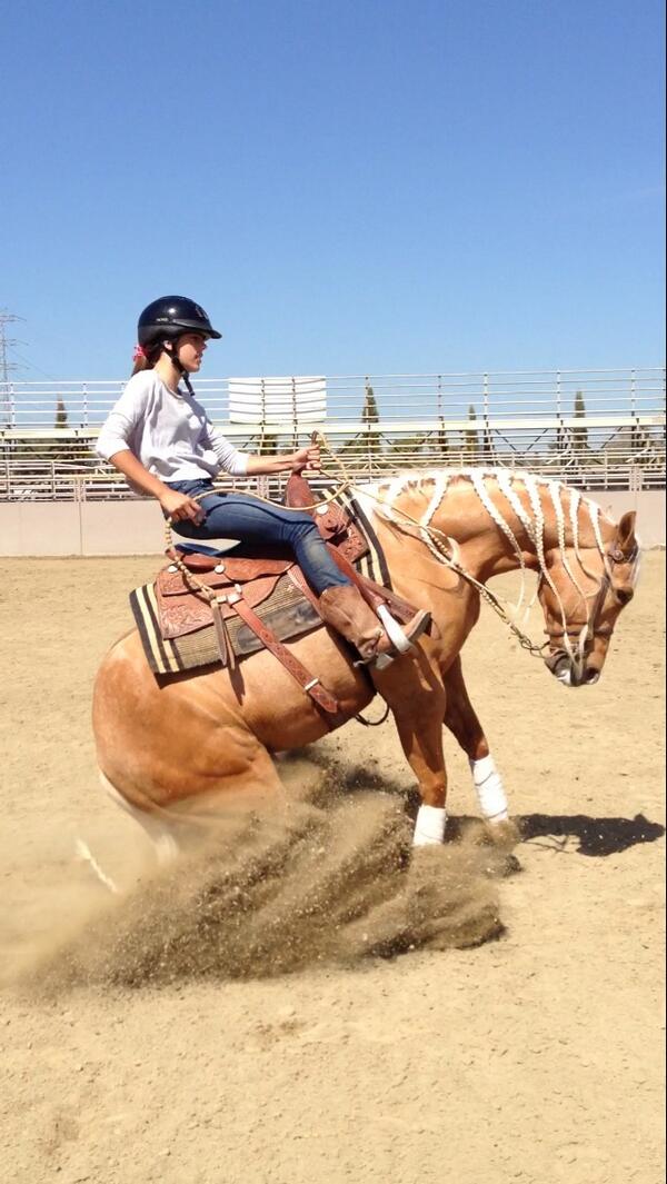 Sylvester Stallone on X: "proud of my daughter.. she did a great job on her  horse in the competition today http://t.co/l7emg9Cnv7" / X