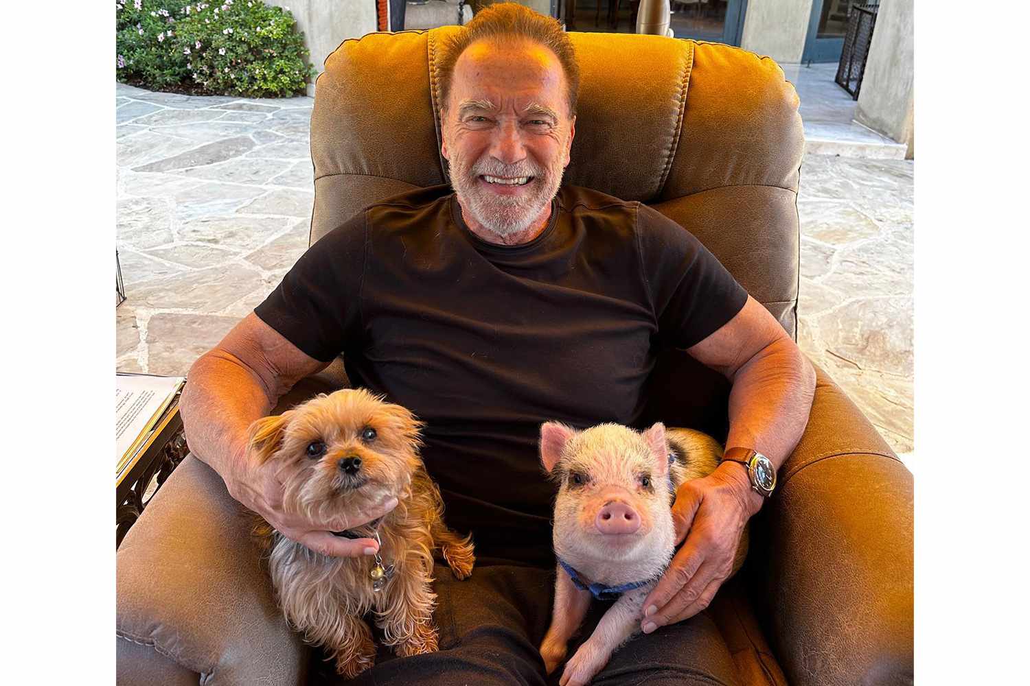 Arnold Schwarzenegger Has a New Pet Pig