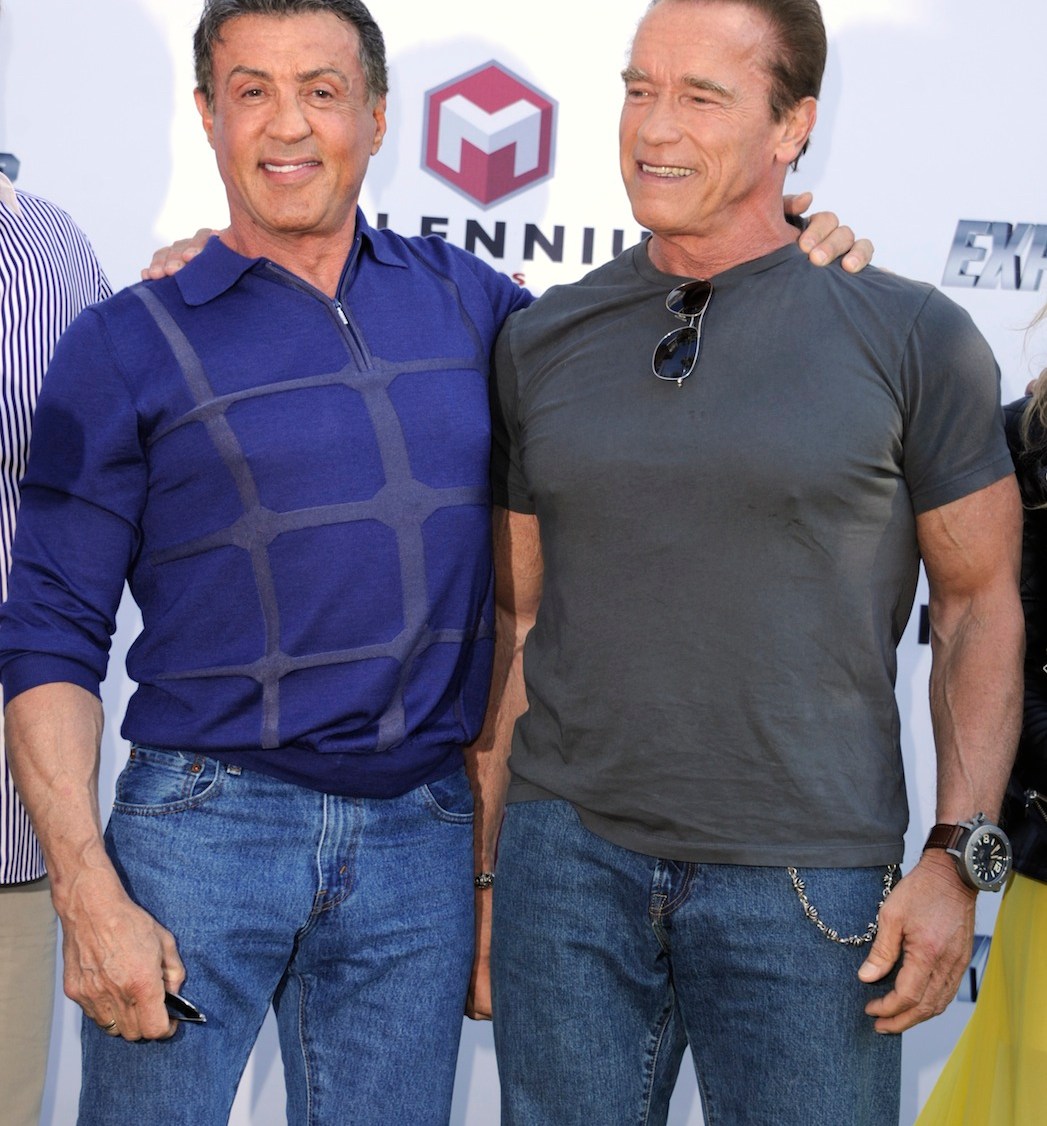 Stallone, Schwarzenegger Take Cannes Back to Action Hero Glory Days – The  Hollywood Reporter