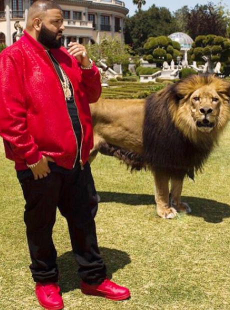 DJ Khaled casually hung out with a lion this week... - 21 Pictures You... - Capital XTRA