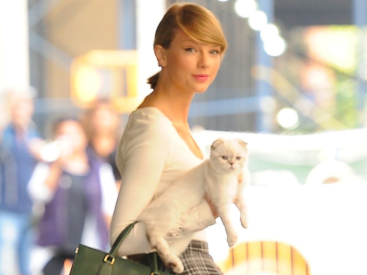 Taylor Swift's Cats: Names, Breeds, More - Parade