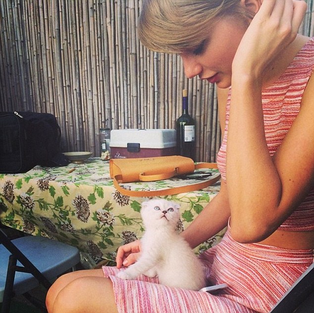 Kitten love: Taylor posted a snapshot of Olivia as a small kitten on her Instagram several months ago