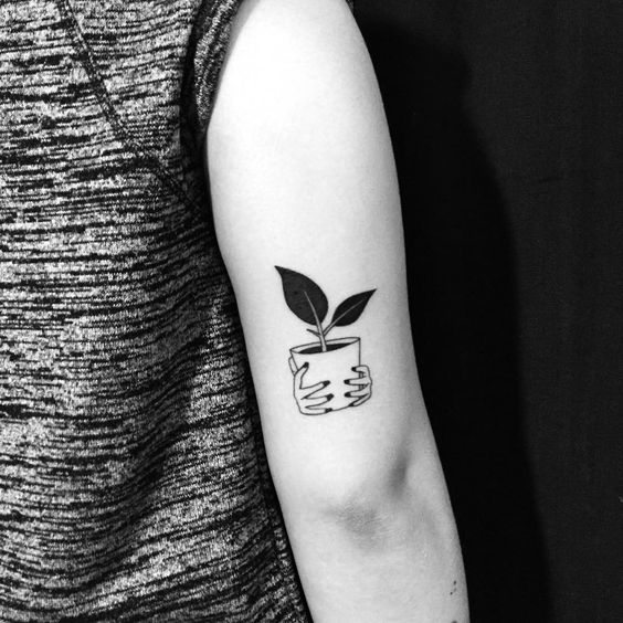 tiny sapling tattoo