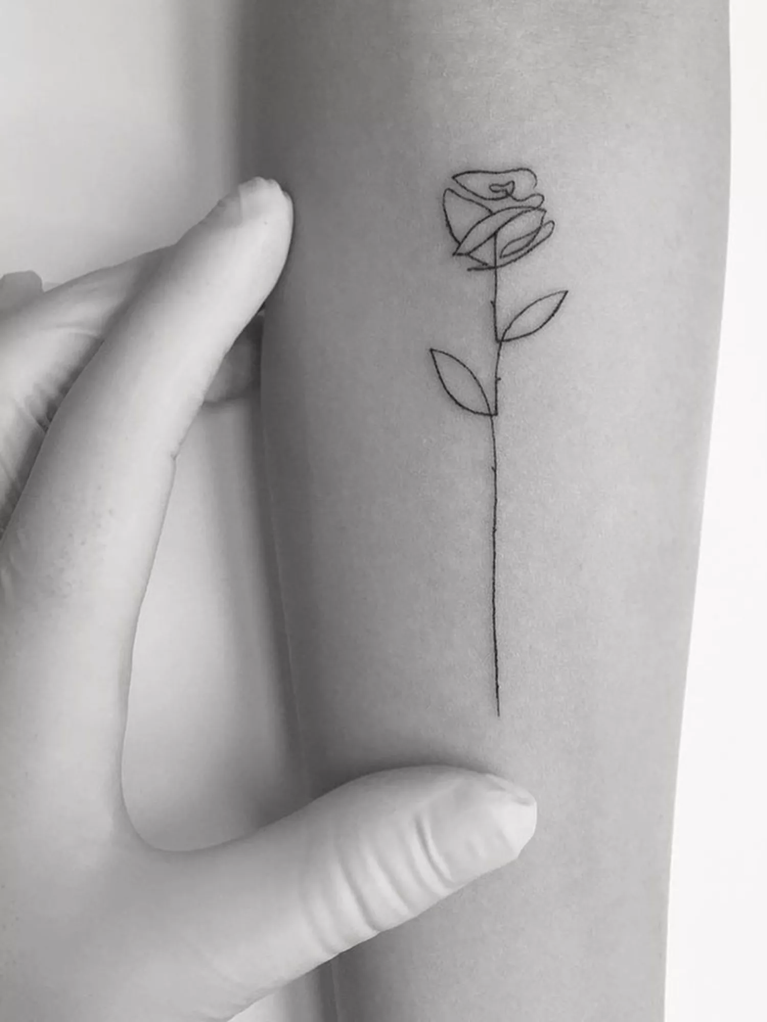 black and white photo, close up of rose flower tattoo on forearm in black ink